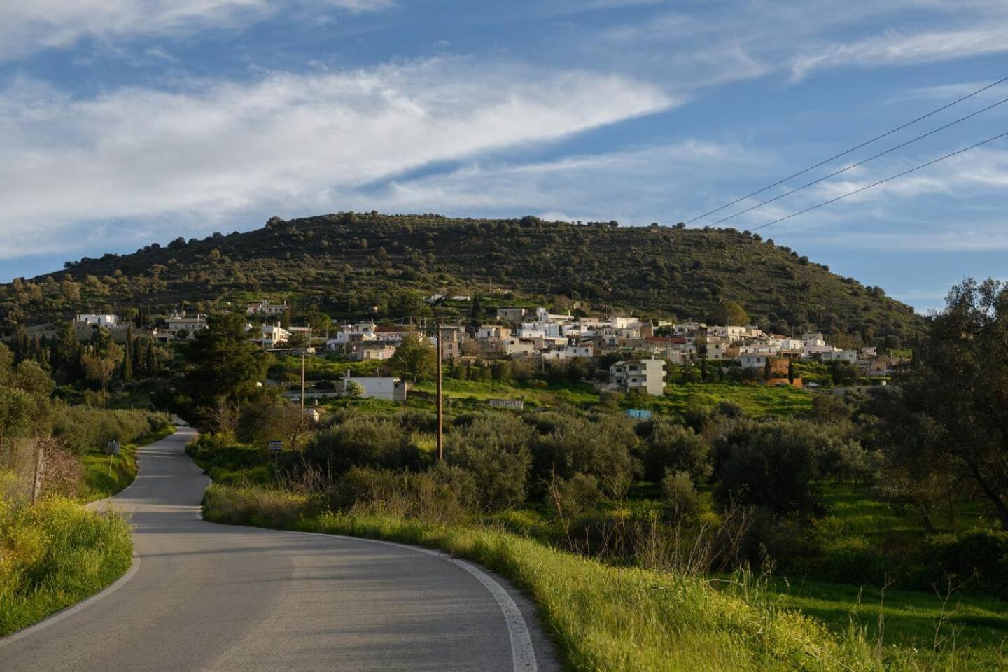 Kouses Estate Close To Matala,Komo Beach & Faistos Exterior photo